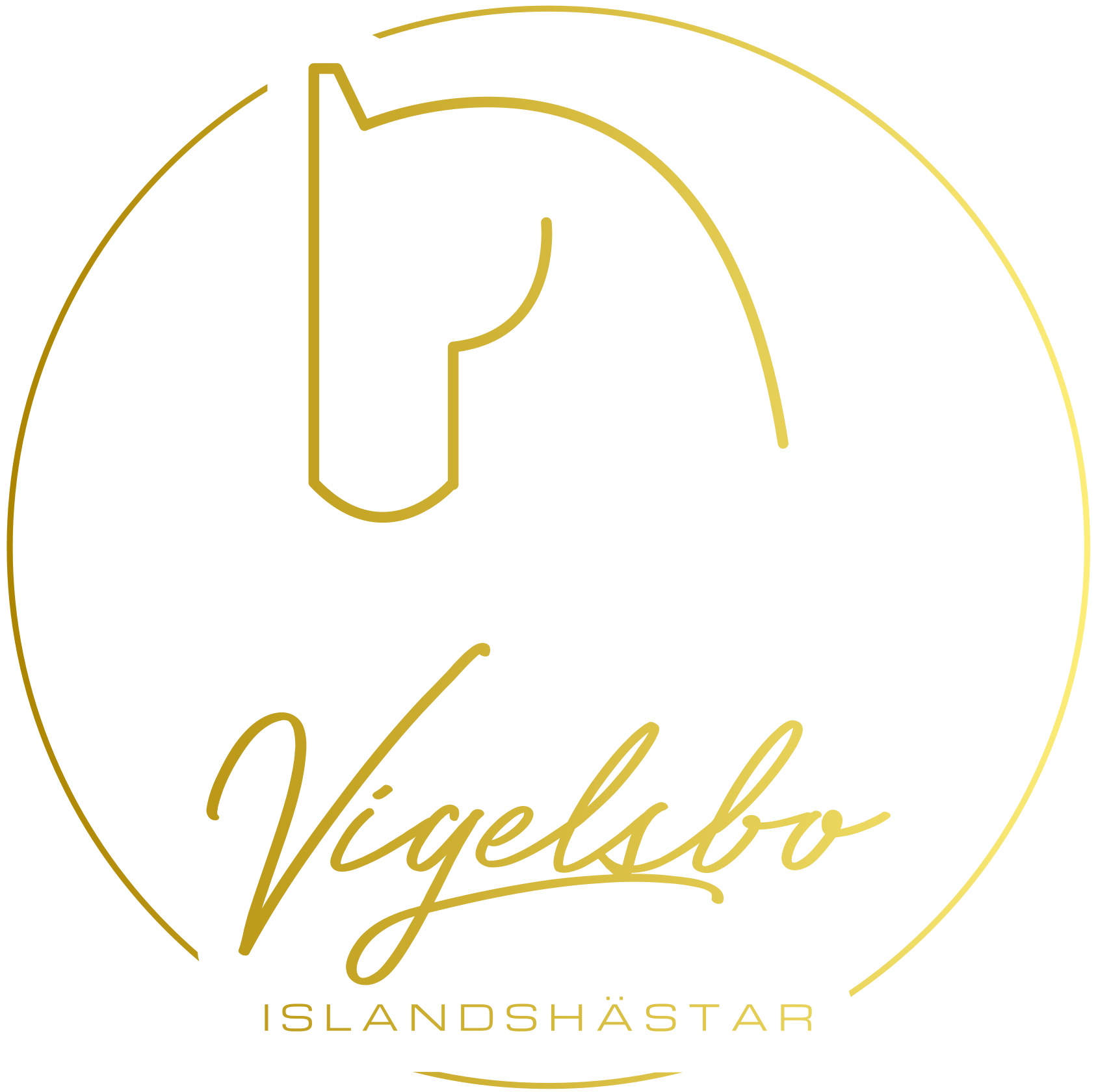 Vigelsbo Islandshästar